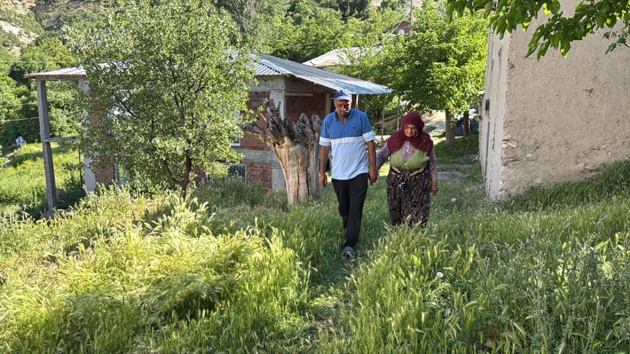 Foto - Bütün köy halkı Sultan ninenin koçunun peşinde