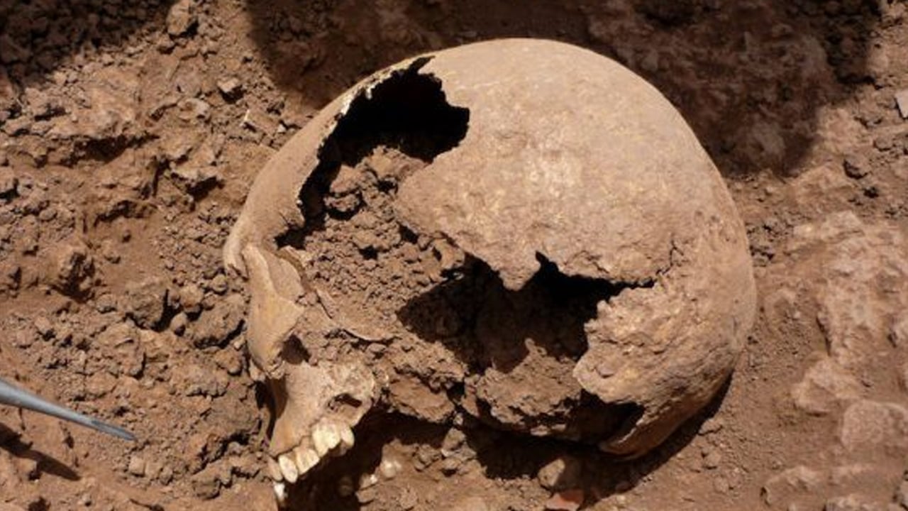 Foto - Büyük bir keşfe imza atıldı! Arjantin’de bir soy keşfedildi: O yerden müthiş keşfini duyurdu! Çarpıcı öngörü 