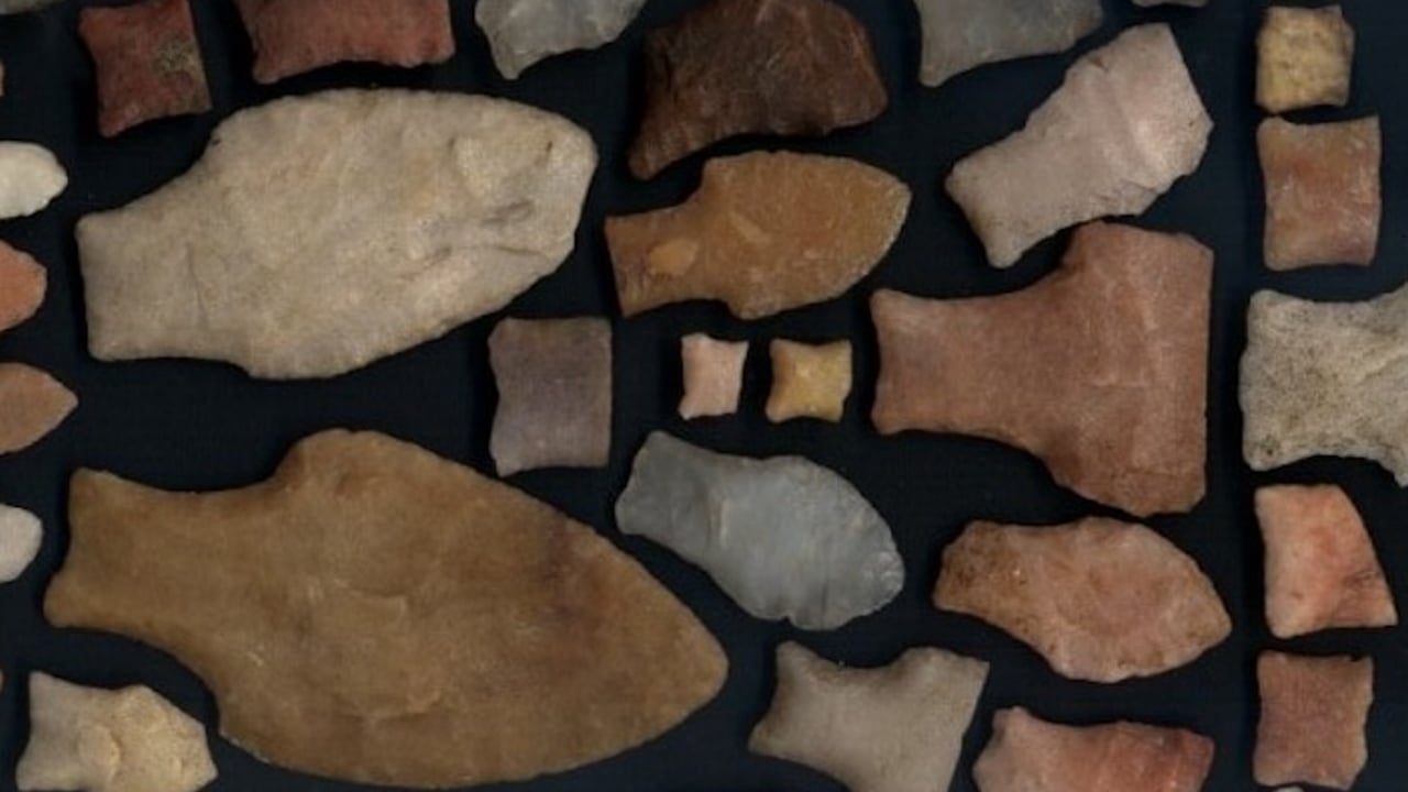 Büyük bir keşfe imza atıldı! Arjantin’de bir soy keşfedildi: O yerden müthiş keşfini duyurdu! Çarpıcı öngörü 