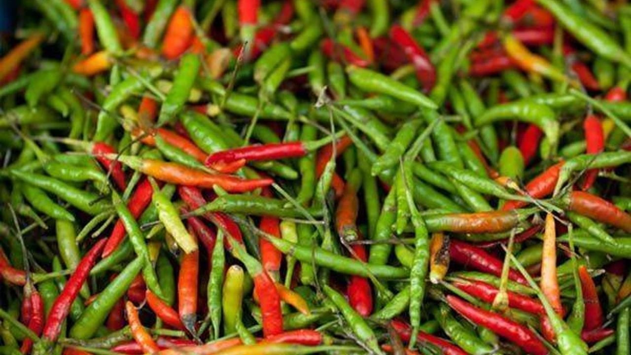 Foto - Büyük C vitamini kaynağı sofraların vazgeçilmezi ama acı biber kaygıyı tetikleyebilir! O isim uyardı