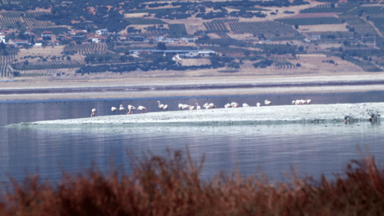 Foto - Büyüklük bakımından 7. sırada! Son 55 yılda 21,30 metre geriledi