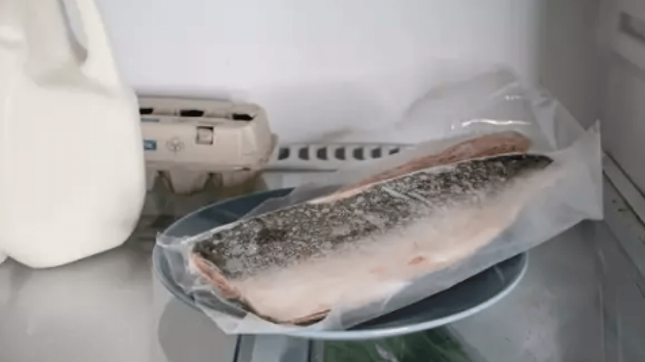 Foto - Buzdolabı kokularına kesin çözüm! Tek malzemeyle çıkıyor! Hem etkili hem pratik yola bakın ne! Beyaz eşya temizliği rehberi