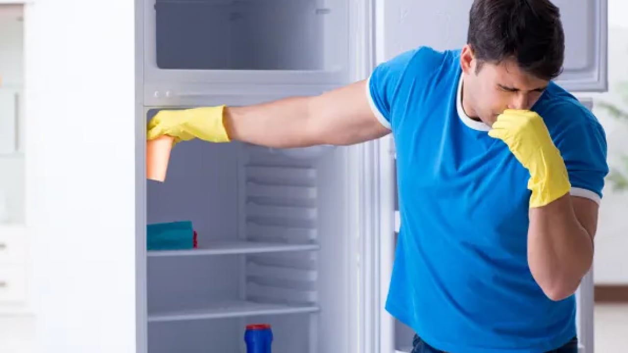 Foto - Buzdolabı kokusunu geçirmenin 3 basit yolu! Denemesi bedava!