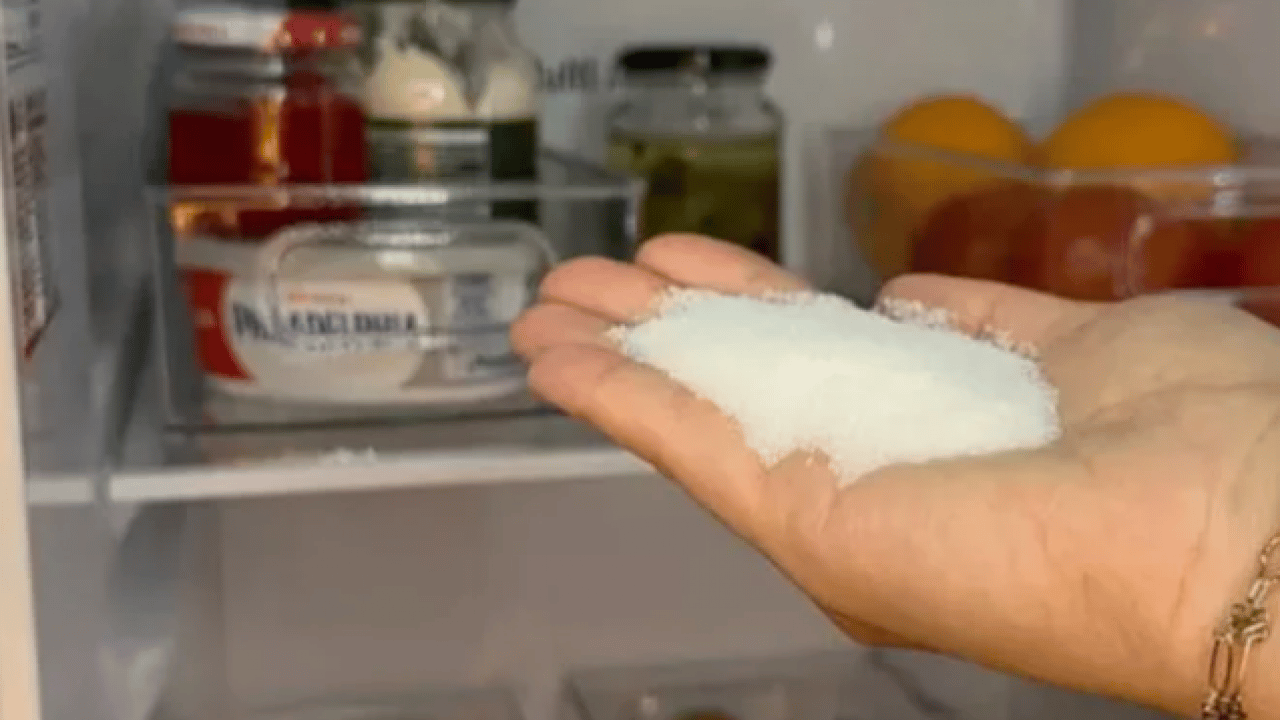 Buzdolabındaki kötü kokuya son! Bir avuç koyun yeter!