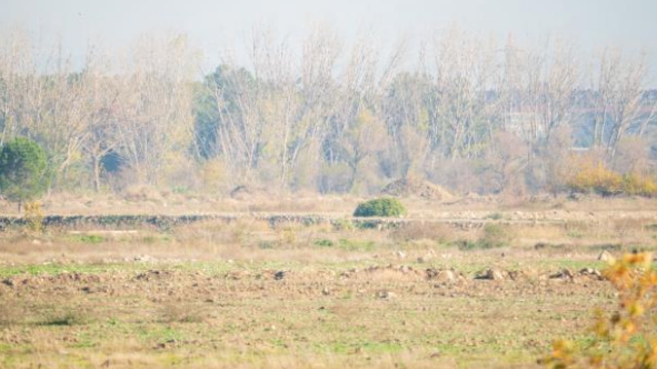 Foto - BYD’nin Manisa fabrikasında sessizlik! Yatırım askıya mı alındı?