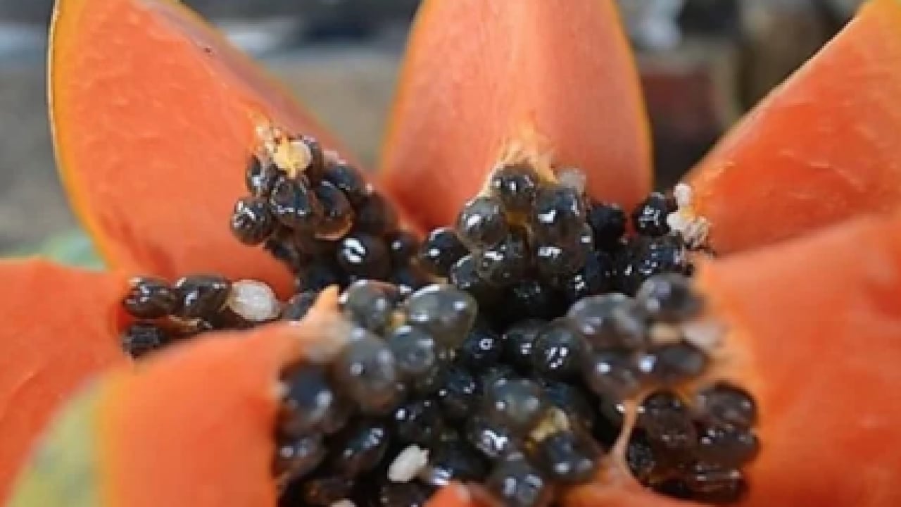 Foto - C vitamini ve antioksidanlar açısından... Kemikleri güçlendiren ikili: Ağrıları kesiyor...
