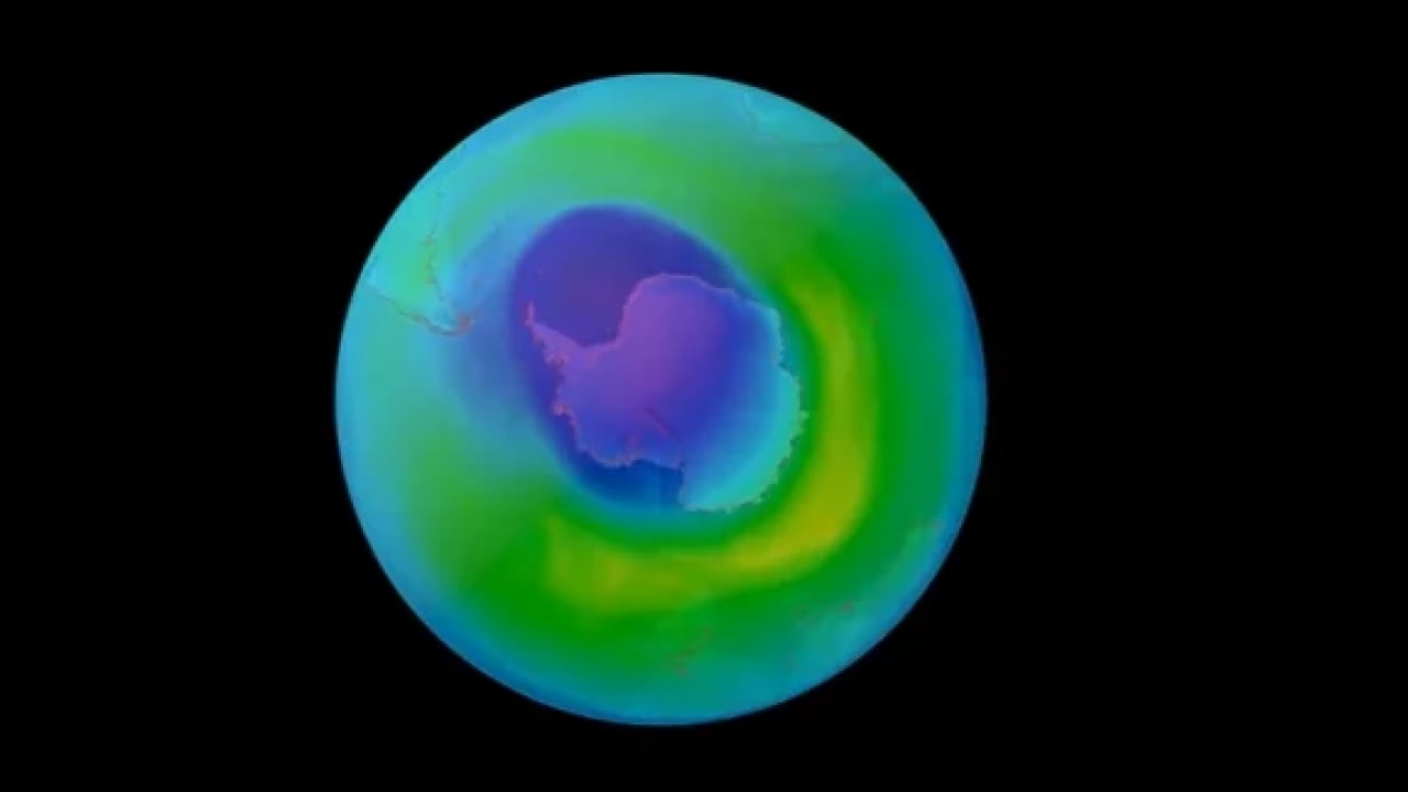 Foto - Çabalar boşa gitmedi: Yıllardan beri en küçük boyuta ulaştı!