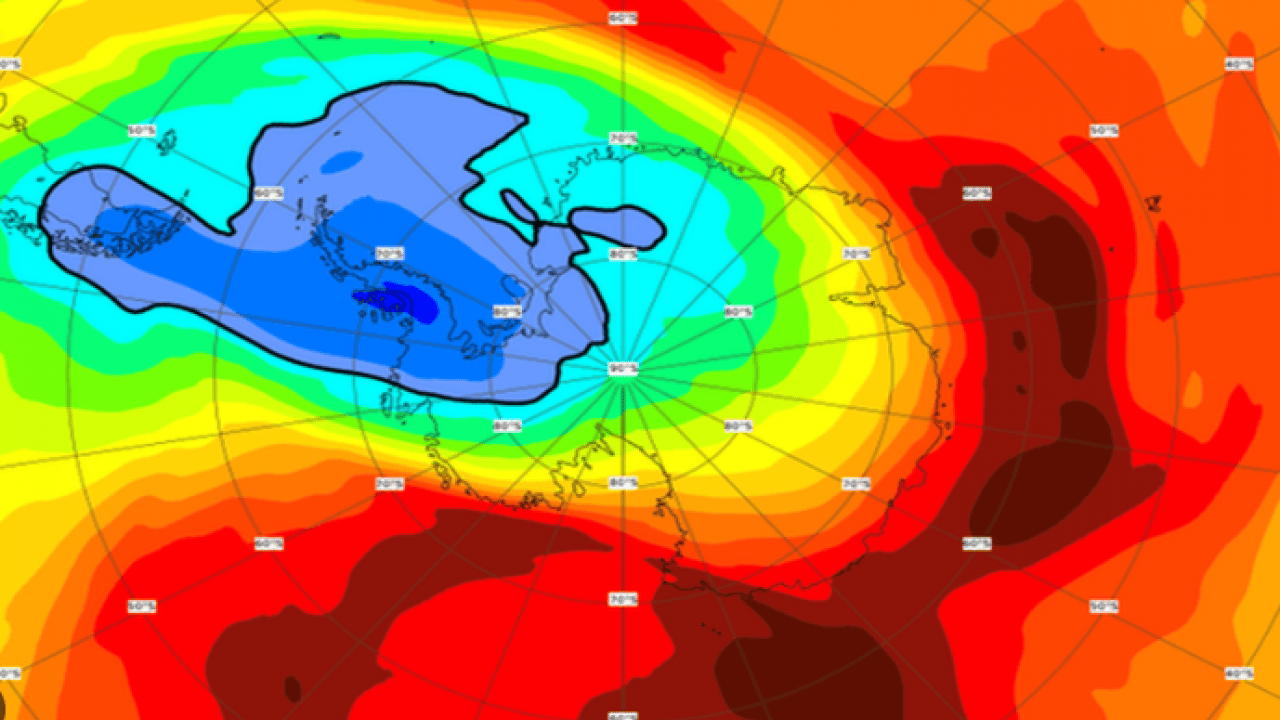 Foto - Çabalar boşa gitmedi: Yıllardan beri en küçük boyuta ulaştı!