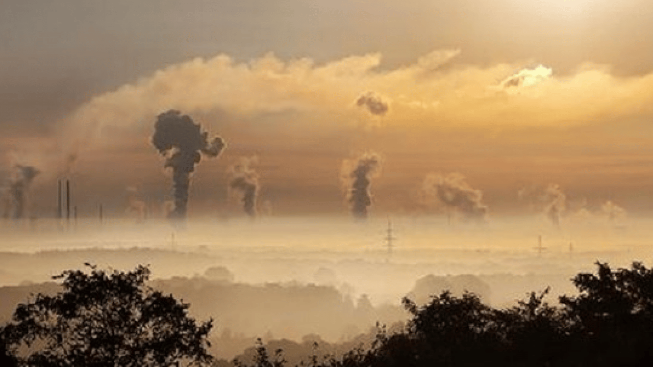 Foto - Çabalar boşa gitmedi: Yıllardan beri en küçük boyuta ulaştı!