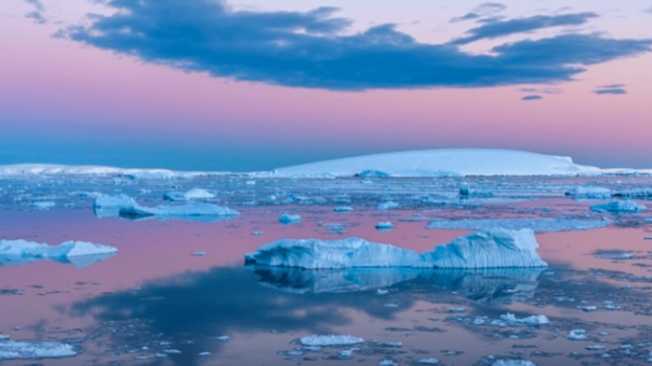 Foto - Çabalar boşa gitmedi: Yıllardan beri en küçük boyuta ulaştı!