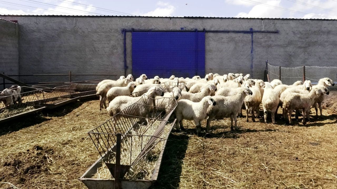 Foto - Çalıştıracak kimseyi bulamıyor! Bu işi yapana 80 bin lira maaş verilecek