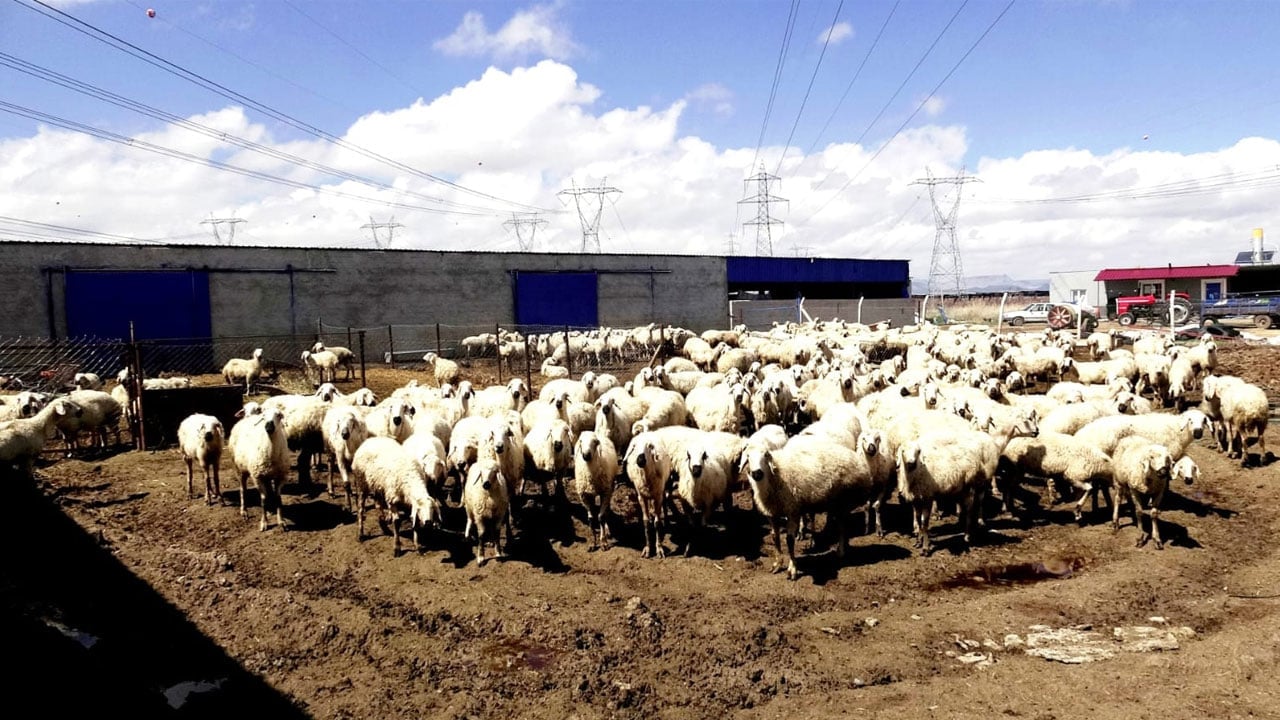 Foto - Çalıştıracak kimseyi bulamıyor! Bu işi yapana 80 bin lira maaş verilecek