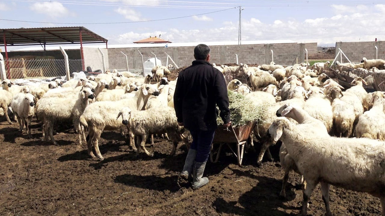 Foto - Çalıştıracak kimseyi bulamıyor! Bu işi yapana 80 bin lira maaş verilecek