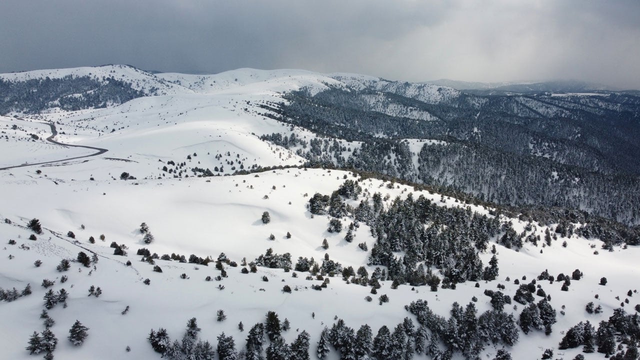 Foto - Çam ormanları arasındaki beyaz cennet! Bu manzarayı görmek için 2 bin 77 metreye çıkıyorlar