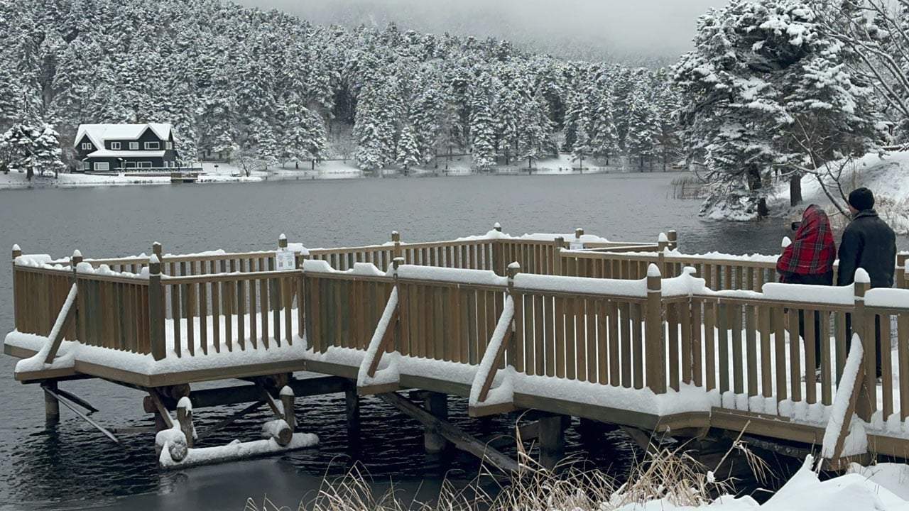 Foto - Çam ormanları nefes kesti! Soğuk hava iç ısıtan manzara