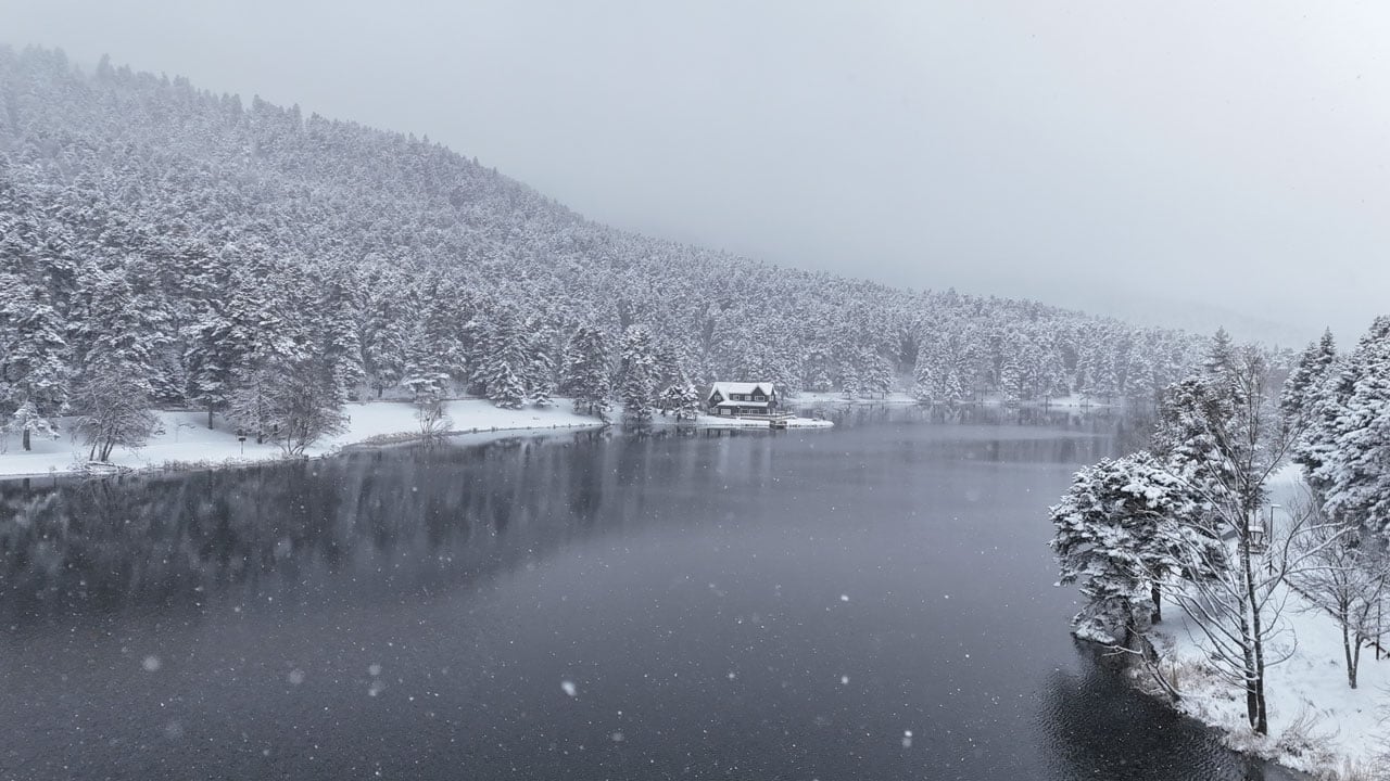 Foto - Çam ormanları nefes kesti! Soğuk hava iç ısıtan manzara
