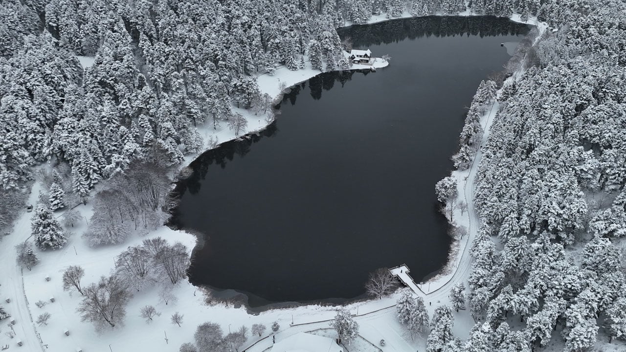 Foto - Çam ormanları nefes kesti! Soğuk hava iç ısıtan manzara