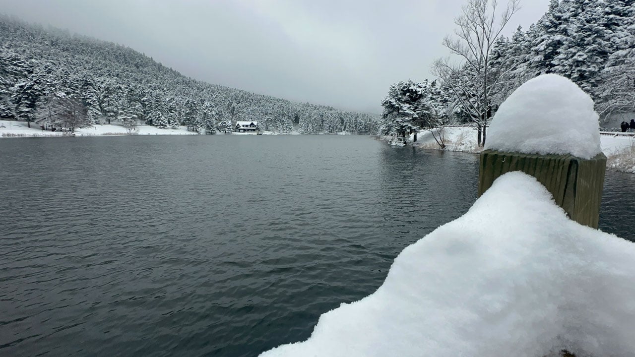 Foto - Çam ormanları nefes kesti! Soğuk hava iç ısıtan manzara
