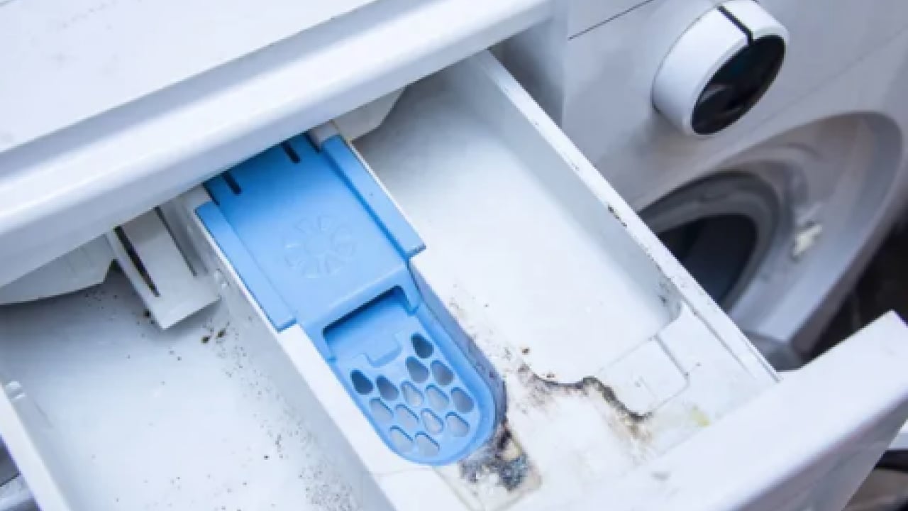Foto - Çamaşır makinası kapağı ile ilgili şaşırtan ayrıntı... Meğer öyle bir zararı varmış ki...