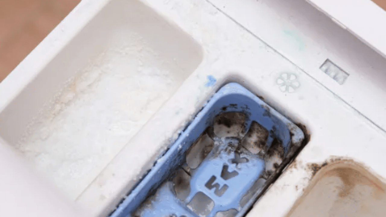 Foto - Çamaşır makinası kapağı ile ilgili şaşırtan ayrıntı... Meğer öyle bir zararı varmış ki...
