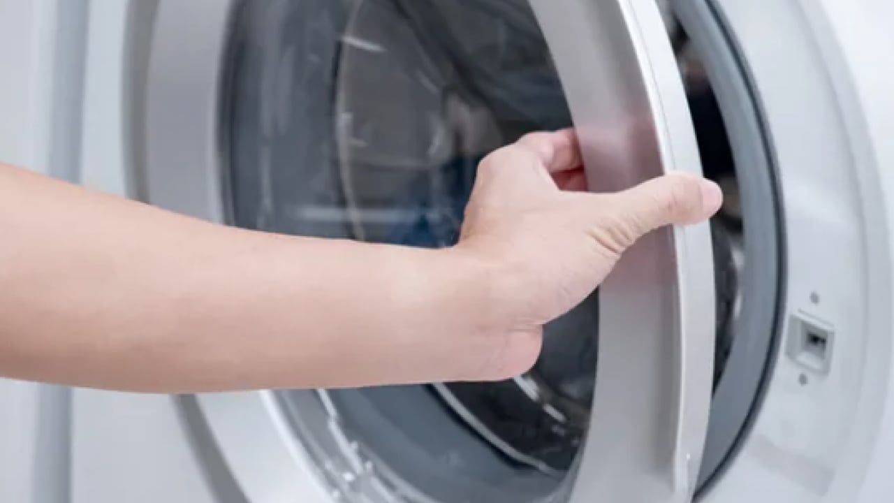 Foto - Çamaşır makinesindeki küflenmeye son! Yeni yıkanmış ve ıslak çamaşırlar...