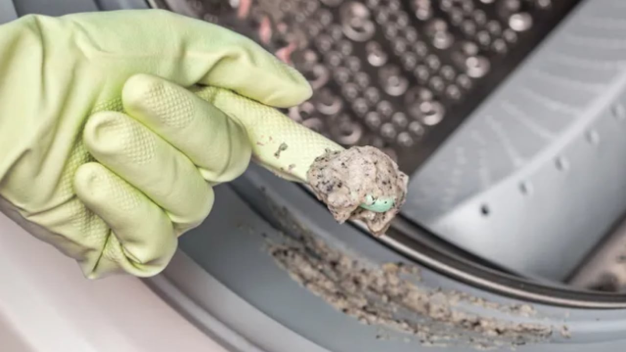 Çamaşır makinesindeki küflenmeye son! Yeni yıkanmış ve ıslak çamaşırlar...