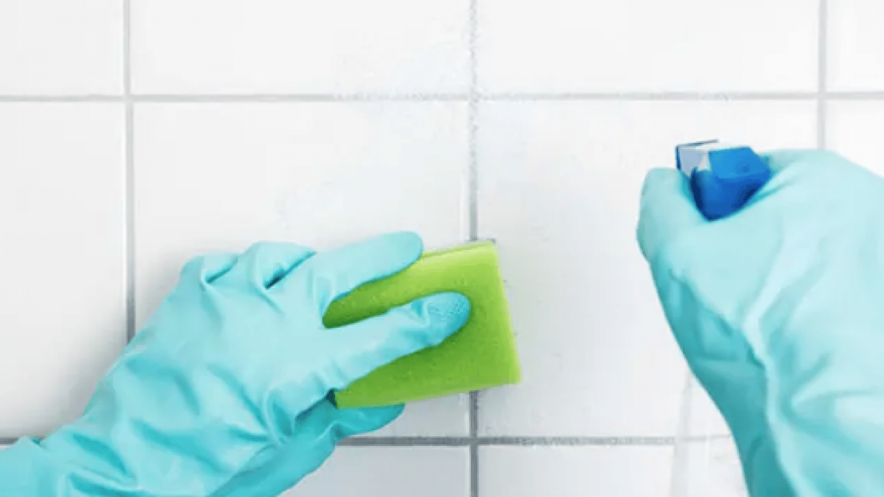 Foto - Çamaşır suyuyla o maddeyi karıştırmayın! Zehirliyor: Bayram temizliği telaşı başladı artık...