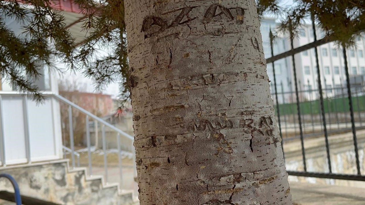 Foto - Camiye çirkin saldırı! Kapıyı kırıp halılarda sigara söndürdüler