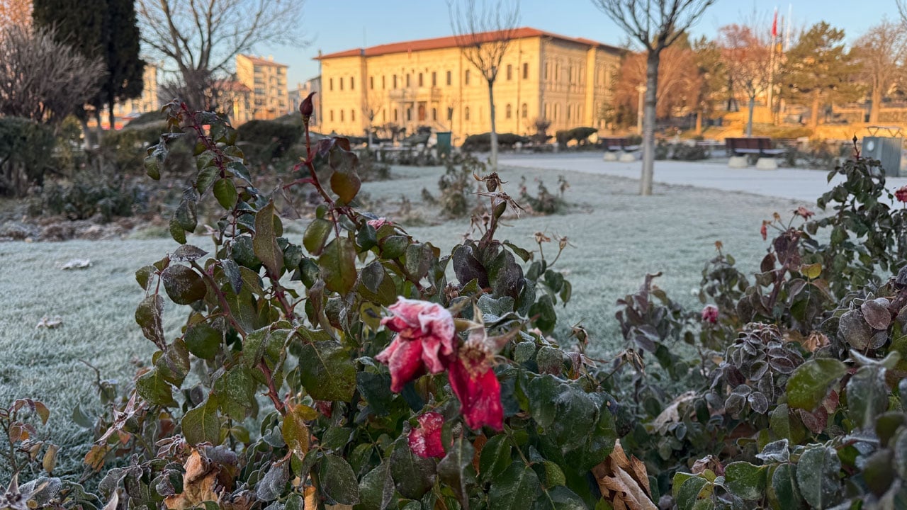 Foto - Camlar buzla kaplandı! Eksi 5 dereceyle uyanan şehir