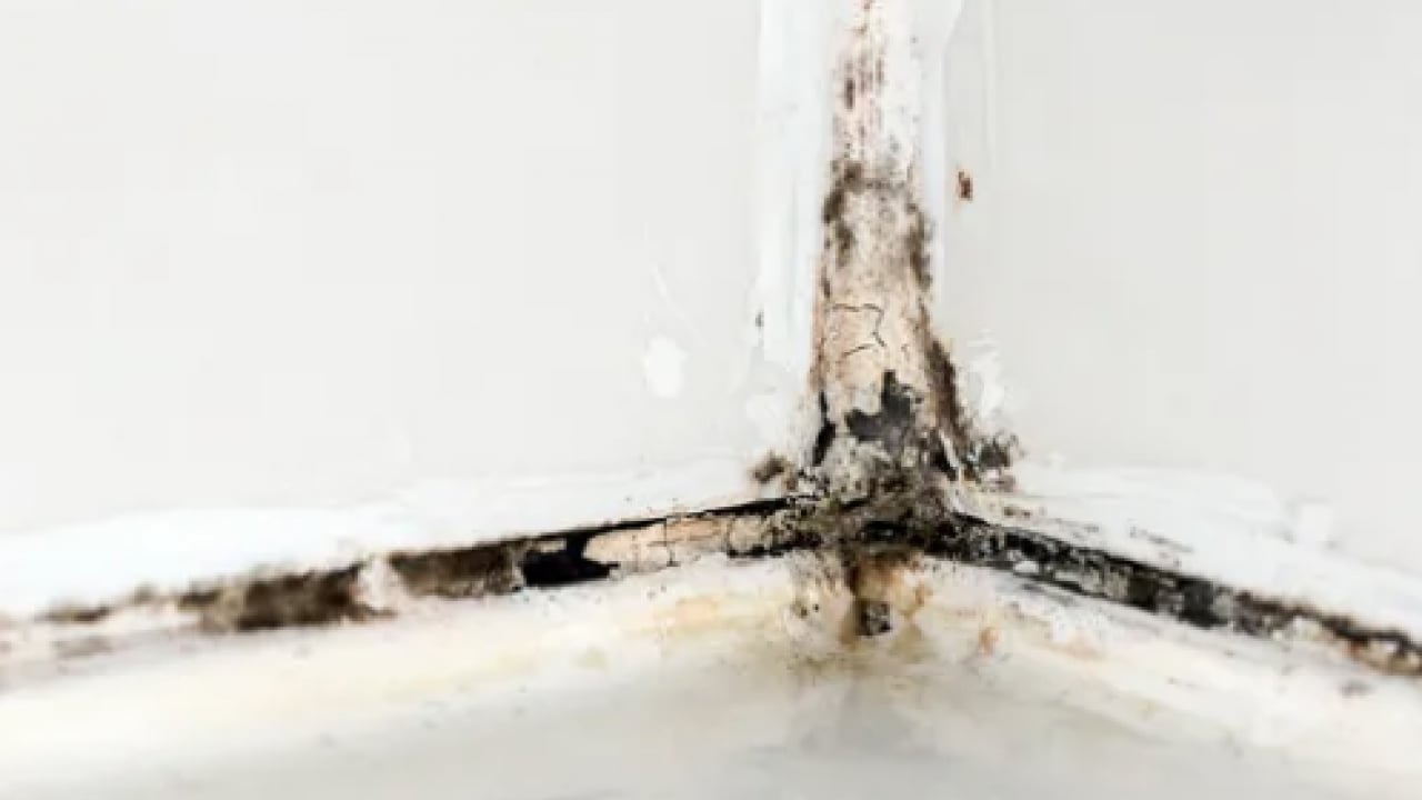 Foto - Camlarda kalan sular kuruyunca... Duş kabinindeki kireçlenmeye 5 dakikada kesin çözüm!