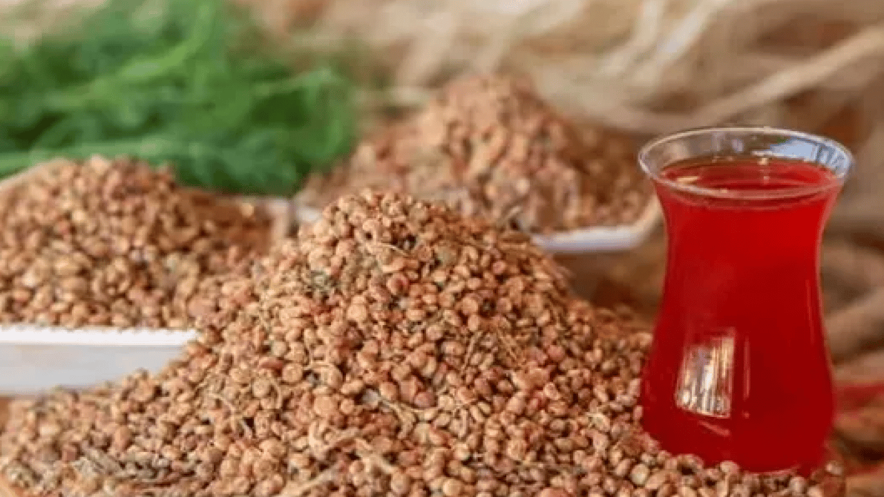 Foto - Canan Karatay'ın favorisi belli oldu: Damarları açıyor, kan şekerini dengeliyor!