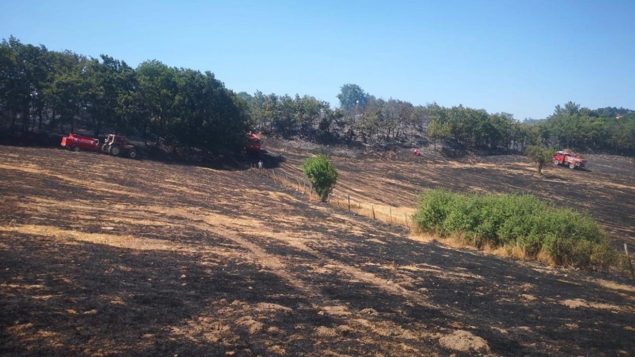 Foto - Çanakkale'de alevler kontrol altında