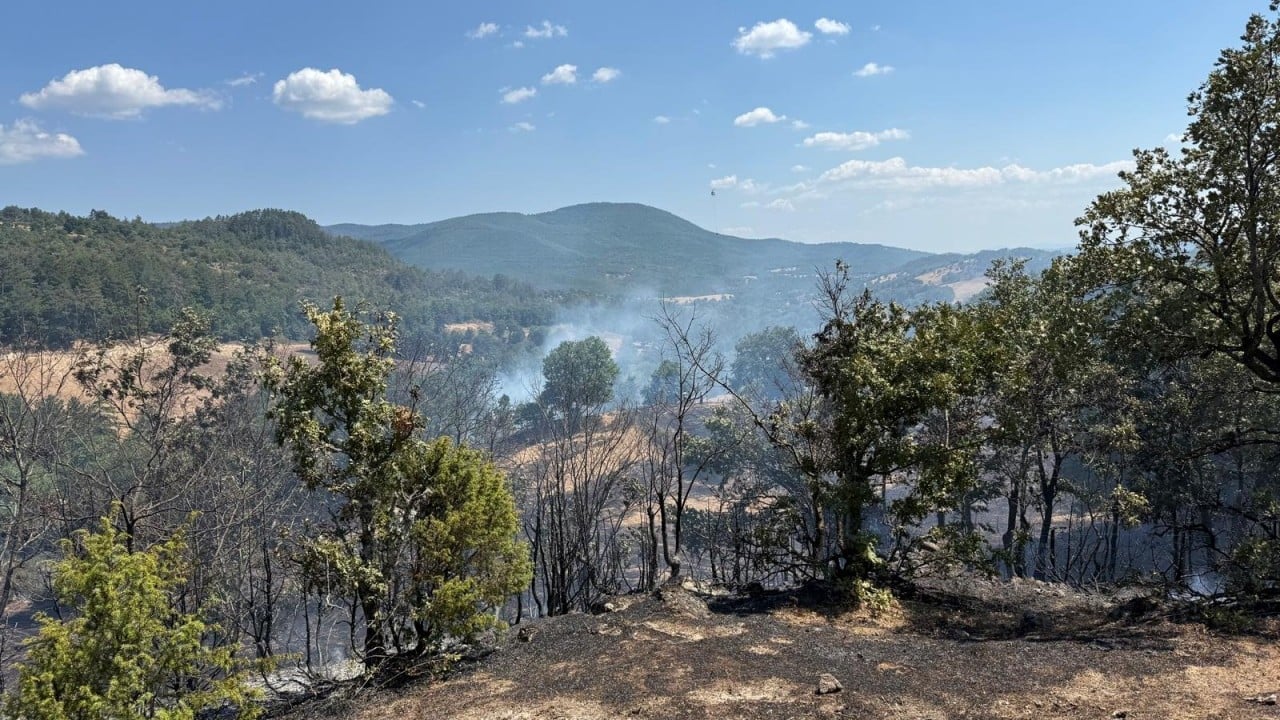 Foto - Çanakkale'de alevler kontrol altında
