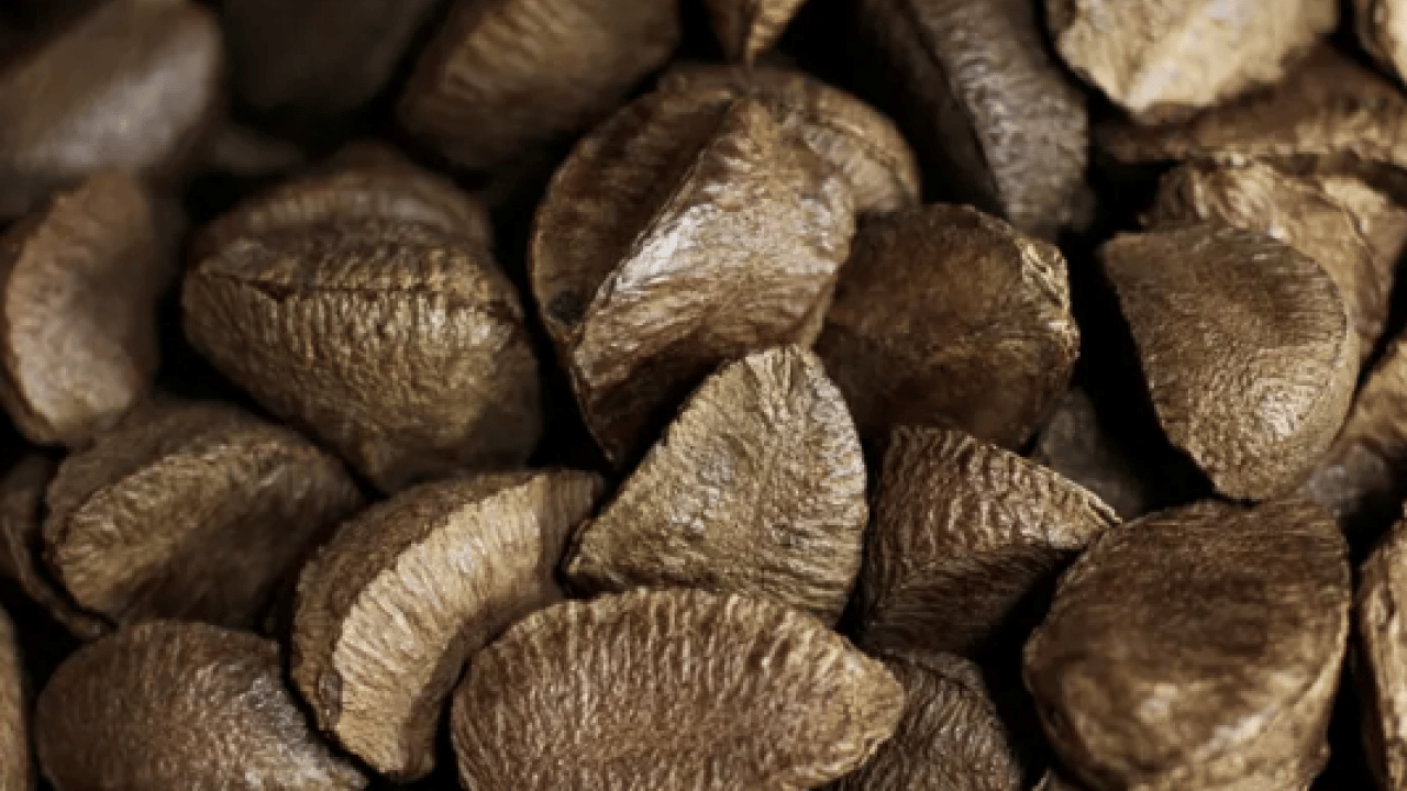 Foto - Canan Karatay 'Ağzıma bile sürmem' diyerek uyardı! Şok sözler...