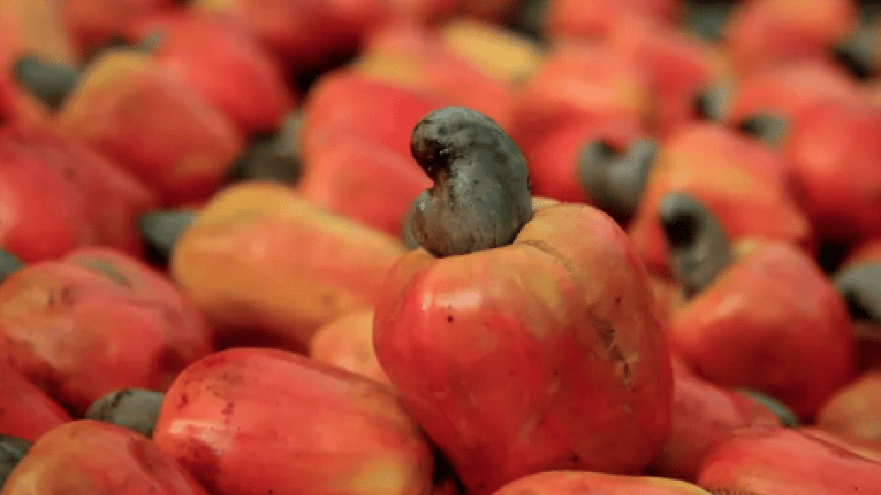 Foto - Canan Karatay 'Ağzıma bile sürmem' diyerek uyardı! Şok sözler...