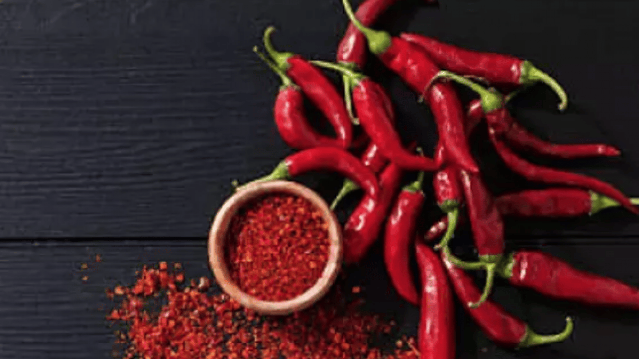 Foto - Canan Karatay bu kez acı önerdi: Kabızlık çekenlere öneriyor! Hastalığı yok ediyor! Öyle bir şey ki...