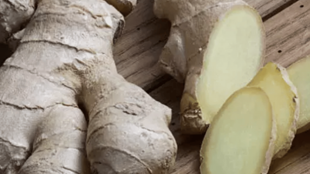 Foto - Canan Karatay bu kez acı önerdi: Kabızlık çekenlere öneriyor! Hastalığı yok ediyor! Öyle bir şey ki...