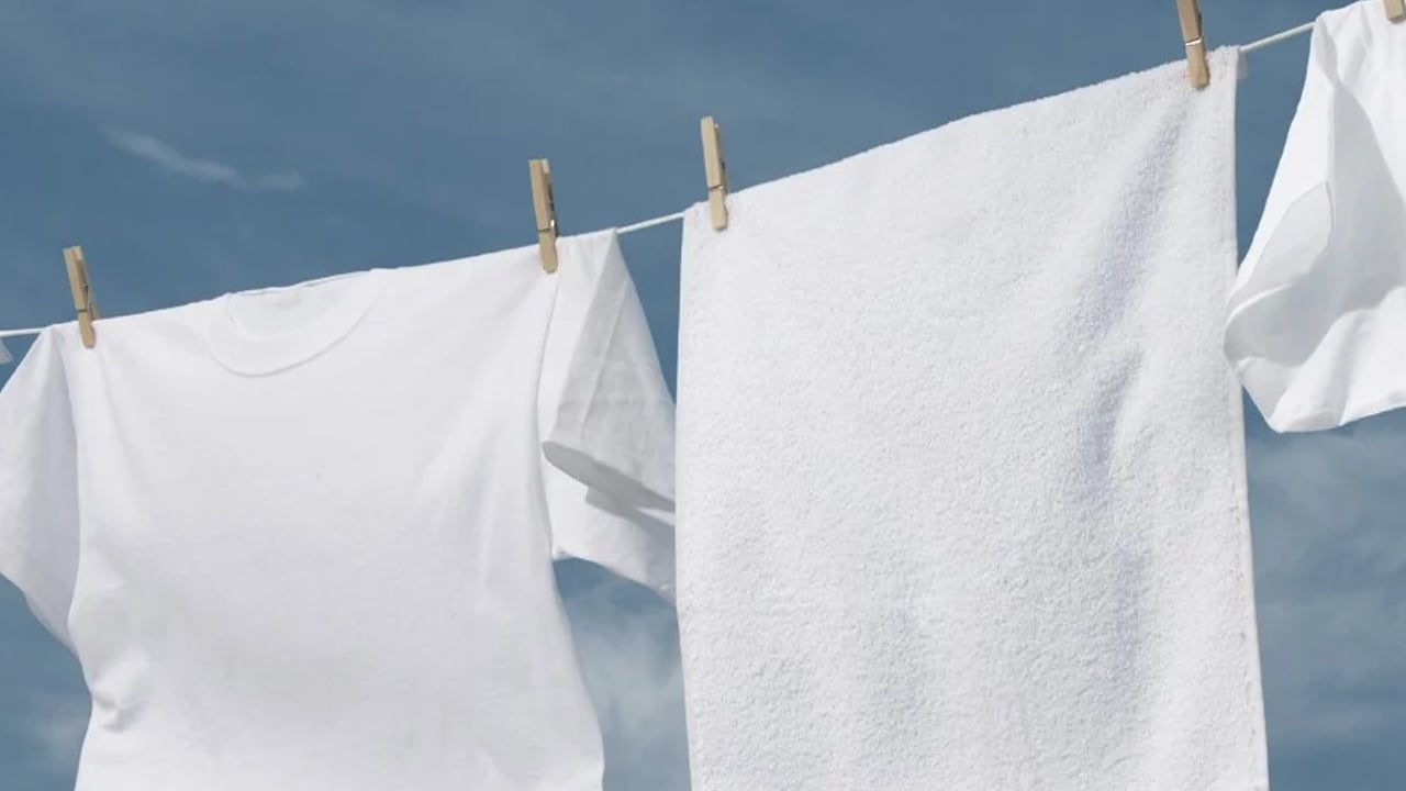 Foto - İbn-i Sina tavsiye etmişti: Çamaşırları beyazlatıyor hem yaraları iyileştiriyor