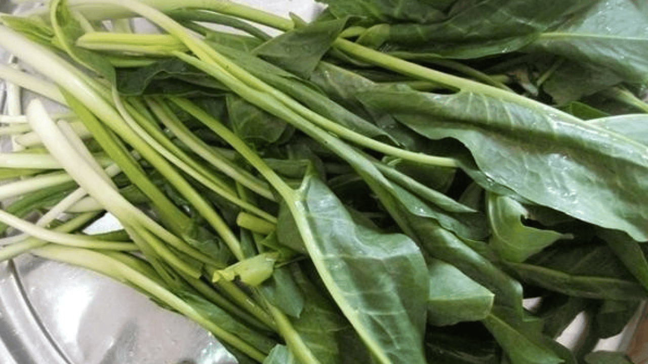 Foto - Canan Karatay ısrarla öneriyor: Bu çorbayı içen hasta olmuyor!