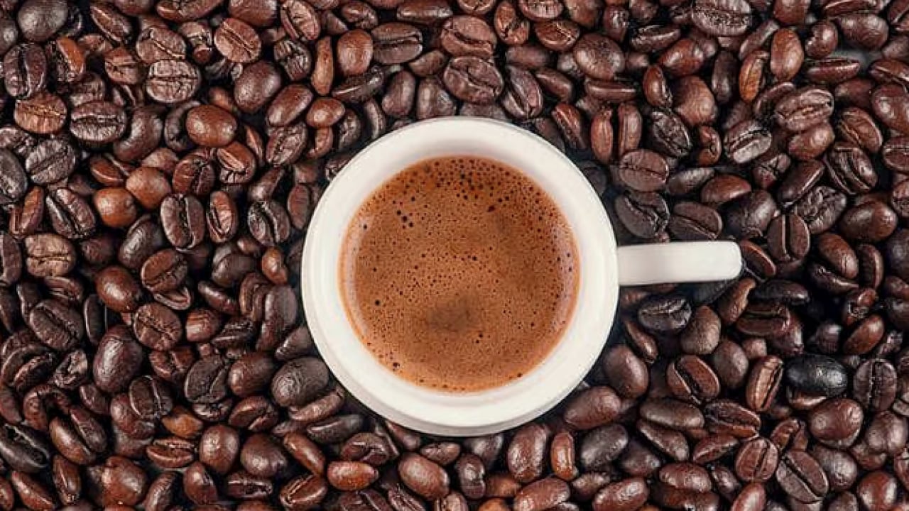 Foto - Canan Karatay tek cümleyle uyardı: Sadesi gerçek şifa! Her kahvenin aynı olmadığını da...