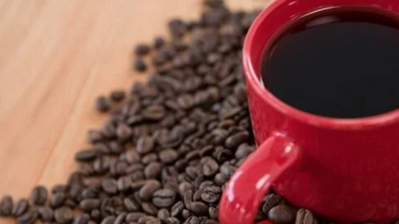 Foto - Canan Karatay tek cümleyle uyardı: Sadesi gerçek şifa! Her kahvenin aynı olmadığını da...