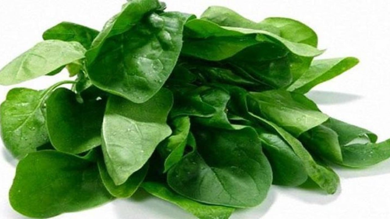 Foto - Canan Karatay’dan çarpıcı öneri! Bu besin folik asit deposu çıktı