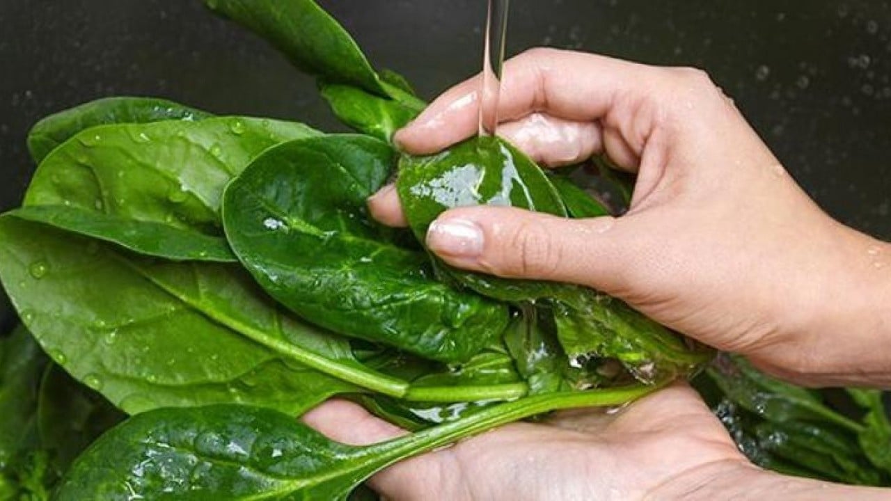 Foto - Canan Karatay’dan çarpıcı öneri! Bu besin folik asit deposu çıktı