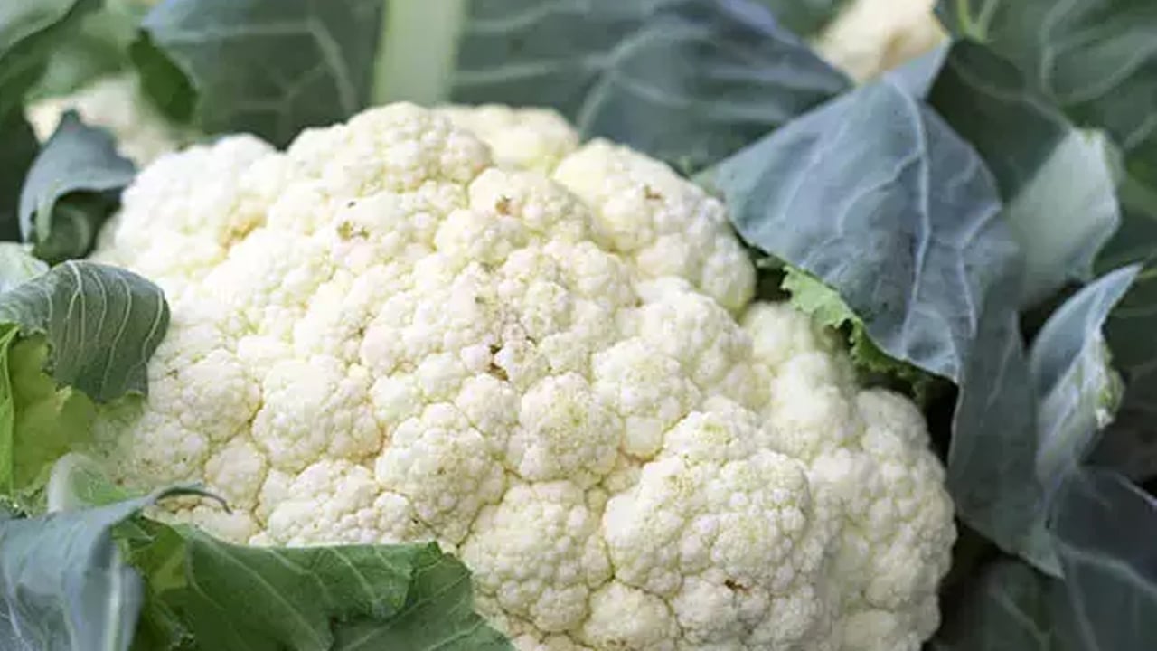 Foto - Canan Karatay'dan kış reçetesi: Bağışıklığı çelik gibi yapan yardım eden 3 besin! 