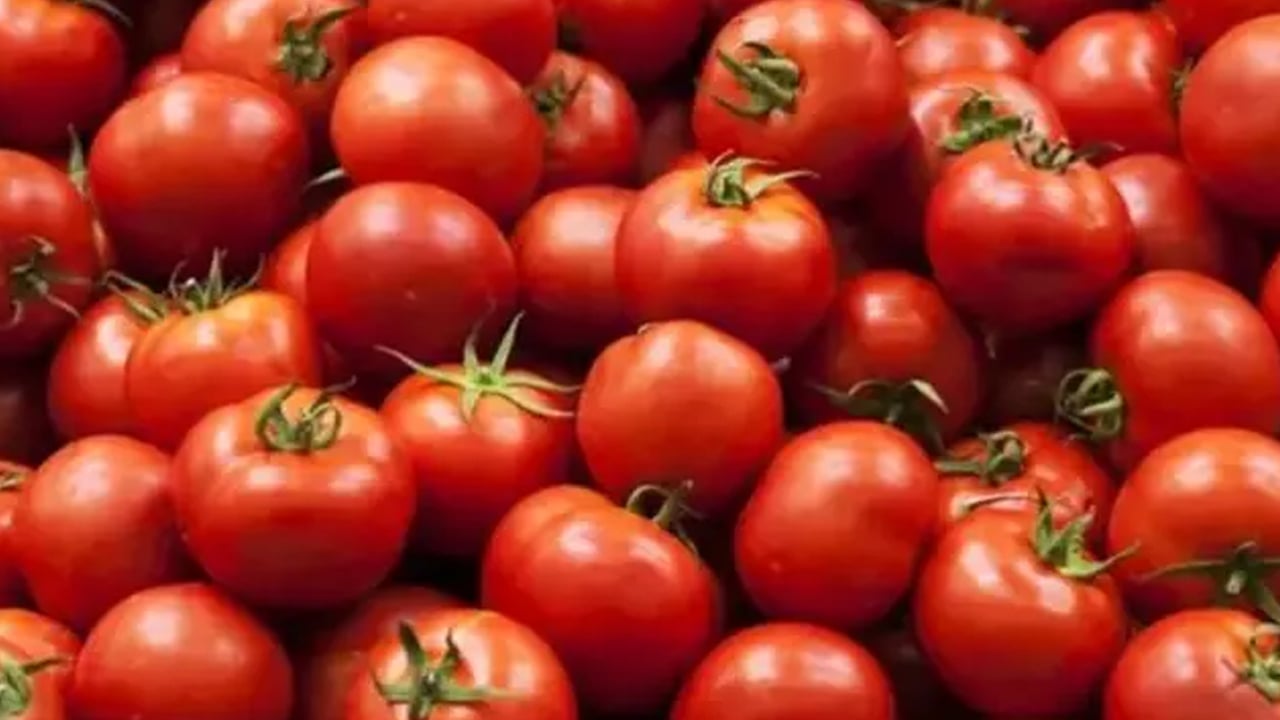 Foto - Canan Karatay'ın 10 puan verdiği muhteşem tarif! Tüketen zımba gibi oluyor! Yaz, kış 1 kaşıkta bile şifayı bulacaksınız!