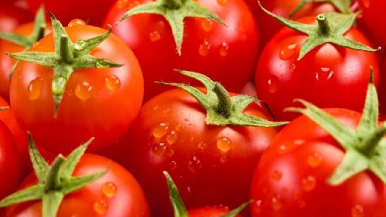 Foto - Canan Karatay'ın 10 puan verdiği muhteşem tarif! Tüketen zımba gibi oluyor! Yaz, kış 1 kaşıkta bile şifayı bulacaksınız!