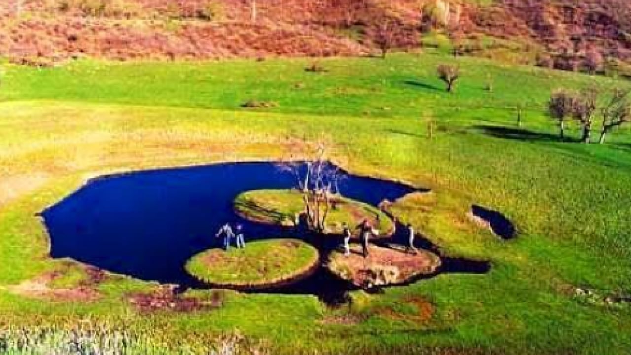 Foto - Dünyanın en nadir adalarından: Ağaçların nasıl hareket ettiği görüntülendi!