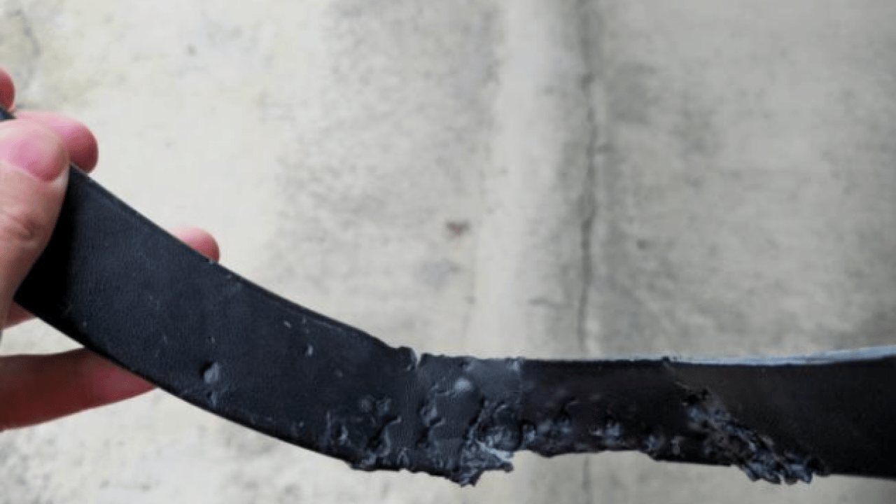 Foto - Canımızın tehlikesi bitmeden malımız da tehlikeye girdi! Sokak köpekleri park halindeki araçlara zarar verdi