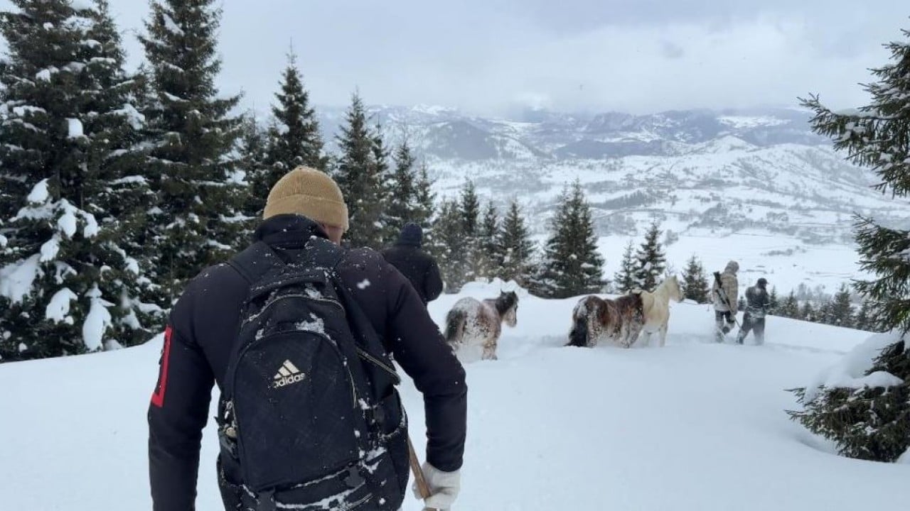 Canlarını tehlikeye attılar Dağda kar altında kalan atları gençler kurtardı