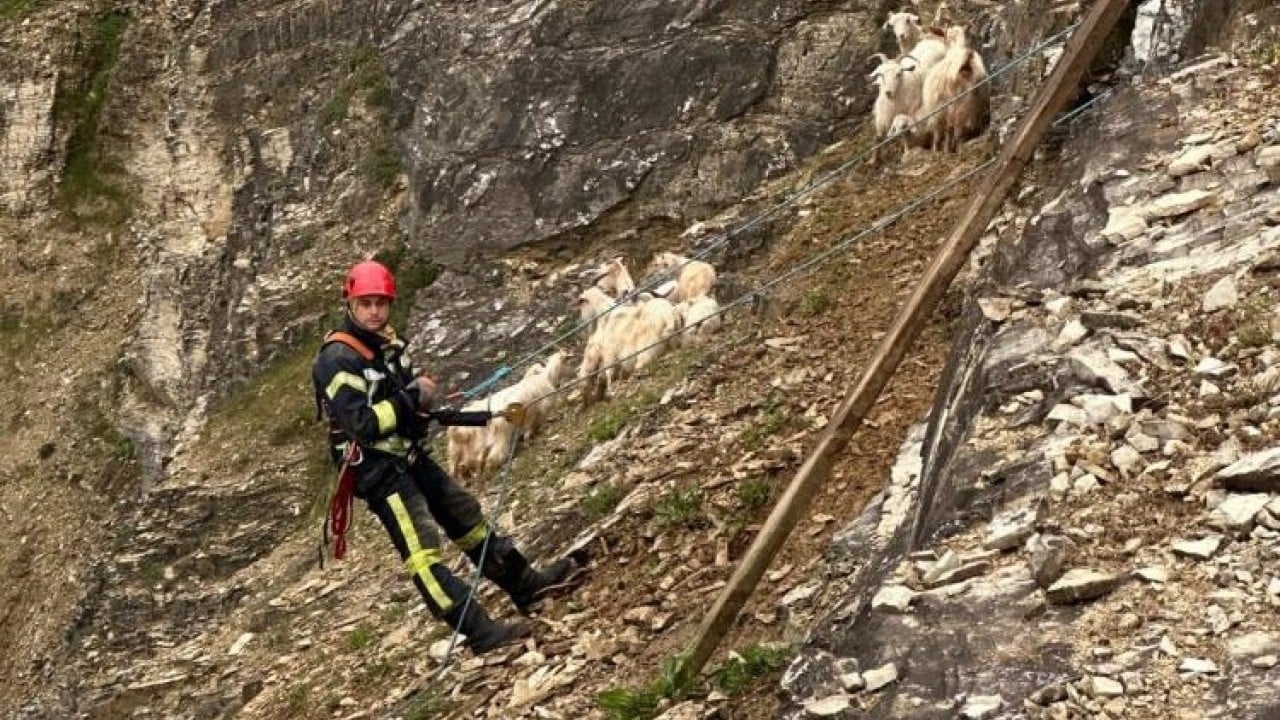 Foto - Cansiparane müdahale ettiler 3 saat süren keçi kurtarma operasyonu